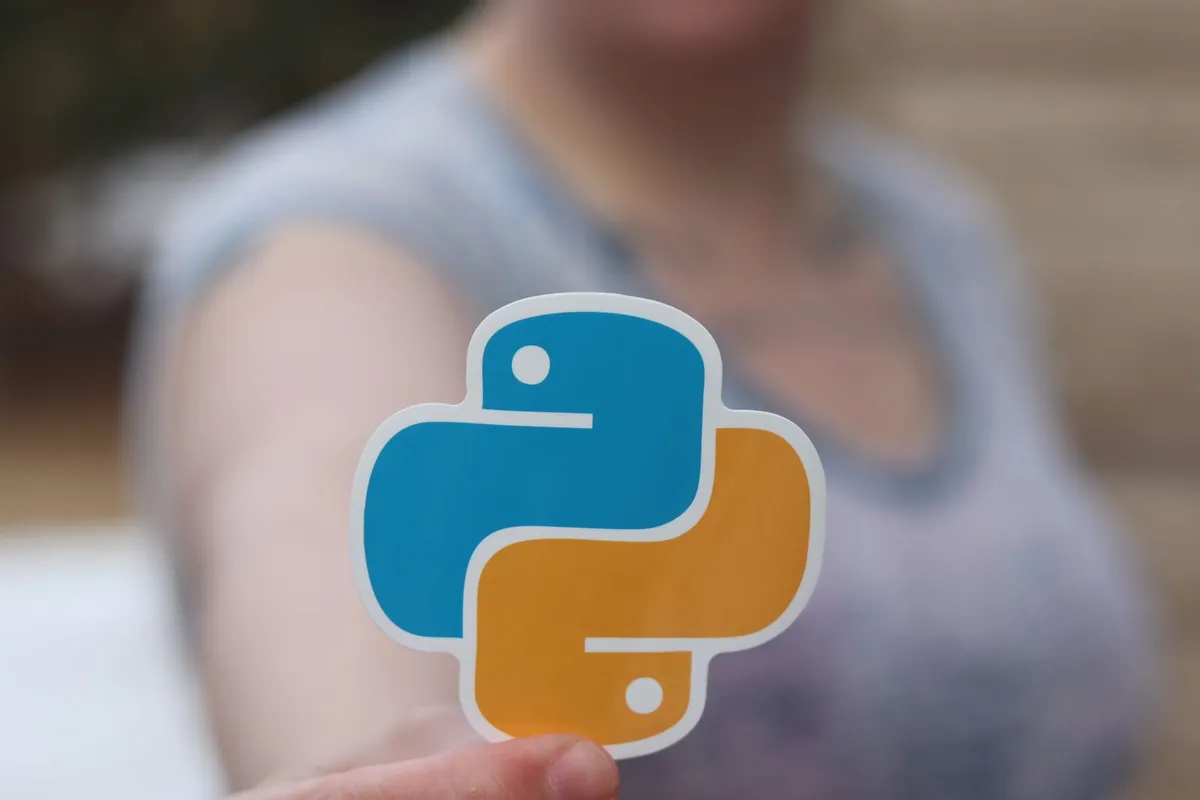 python logo on windows 11 desktop